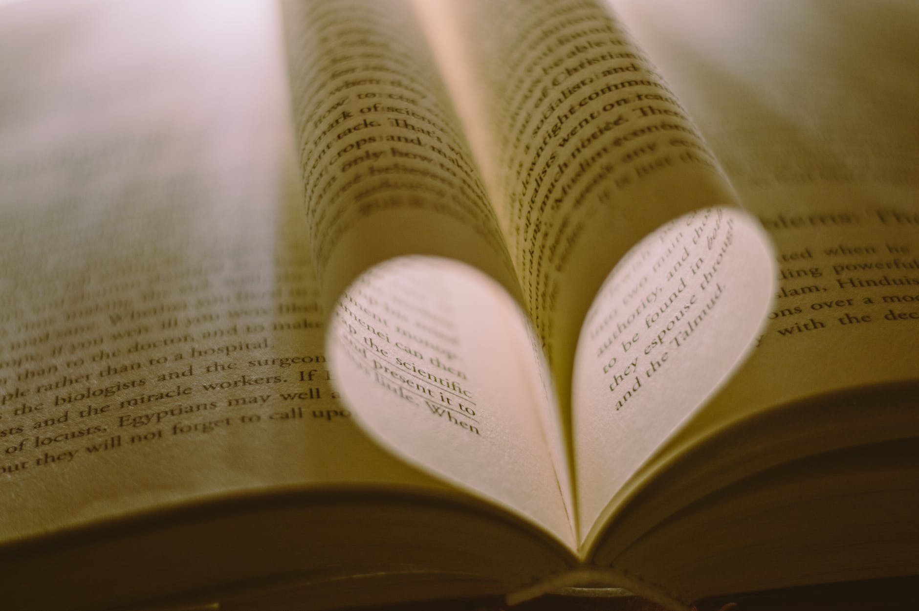 close up photo of book pages